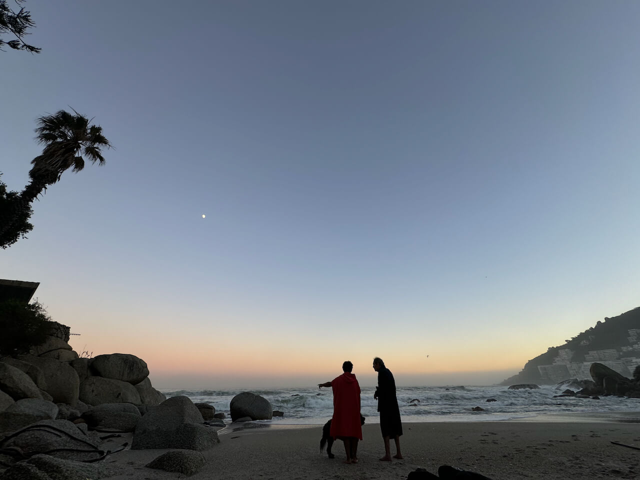 Albie, Vanessa, Doodle at sunrise - Clifton